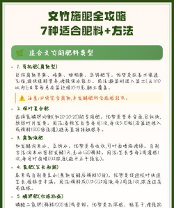 如何配文竹肥料