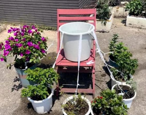 家庭养花用生根粉