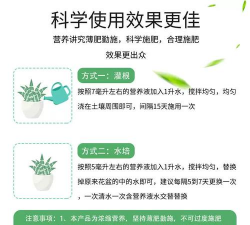 家庭养花用生根粉