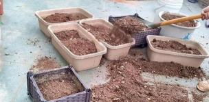 家庭养花用生根粉