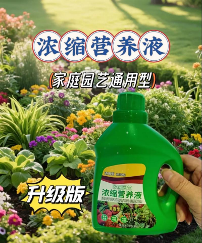 家庭养花用生根粉