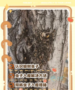 如何消灭榆虫子