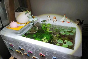 家庭养花用生根粉