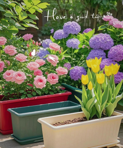 家庭养花用生根粉