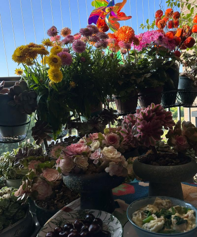 家庭养花用生根粉