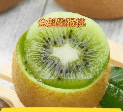 金魁猕猴桃优质丰产栽培技术