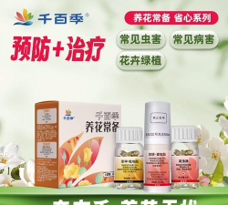 家庭养花用生根粉