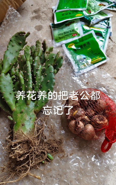 家庭养花用生根粉