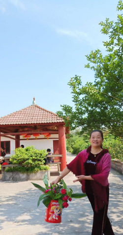 家庭养花用生根粉