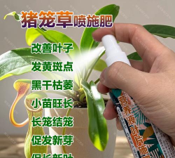 家庭养花用生根粉