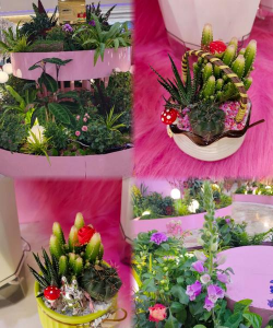 家庭养花用生根粉