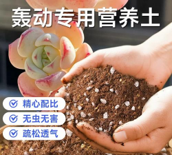 家庭养花用生根粉