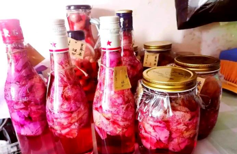 家庭养花用生根粉