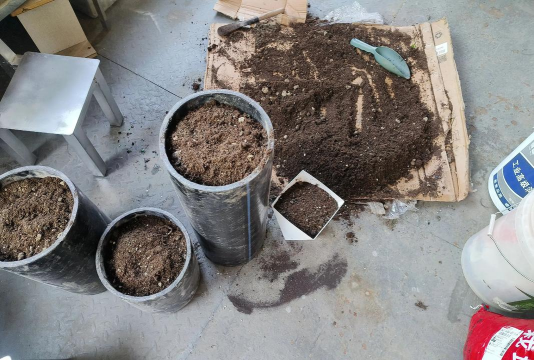 家庭养花用生根粉