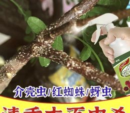 家庭养花用生根粉