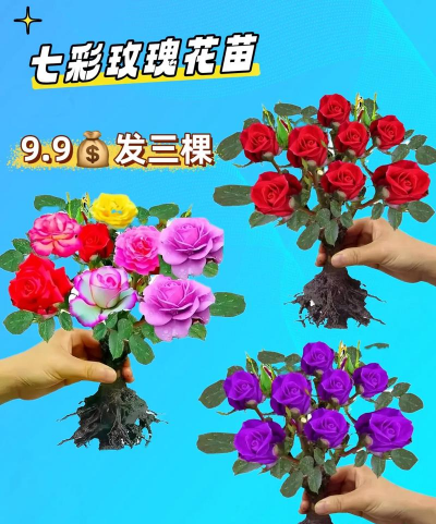 家庭养花用生根粉