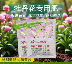 家庭养花用生根粉