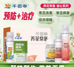 家庭养花用生根粉