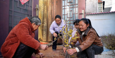 家庭养花用生根粉