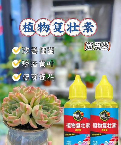 家庭养花用生根粉