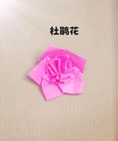 土杜鹃花杜鹃花怎么折