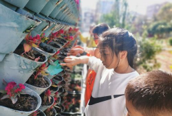 家庭养花用生根粉