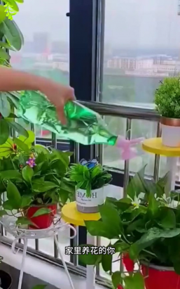 家庭养花用生根粉