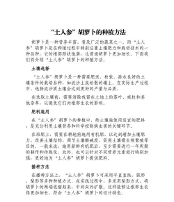 土参如何栽培