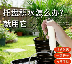 家庭养花用生根粉