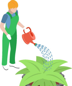 家庭养花用生根粉