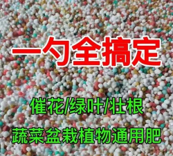 家庭养花用生根粉