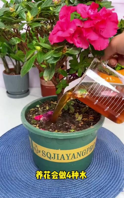 家庭养花用生根粉