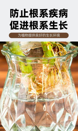 家庭养花用生根粉