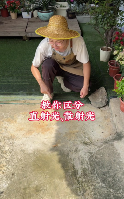 家庭养花用生根粉