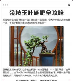 家庭养花用生根粉