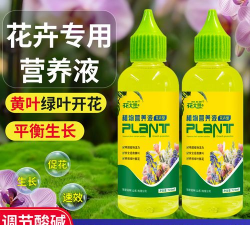 家庭养花用生根粉