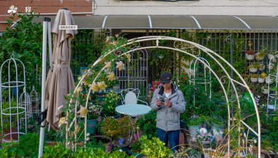 家庭养花用生根粉