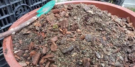 家庭养花用生根粉