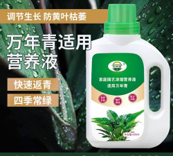家庭养花用生根粉