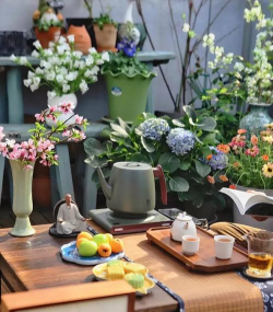 家庭养花用生根粉