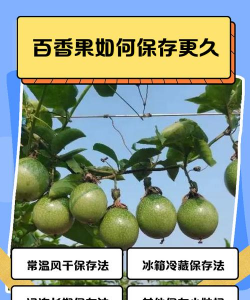 百香果怎么收藏时间更久