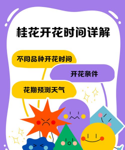 桂花什么桂花什么时候开