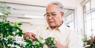 家庭养花用生根粉
