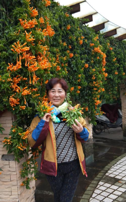 家庭养花用生根粉