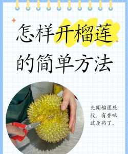 怎么让榴莲多开一次花