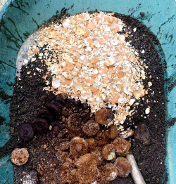 家庭养花用生根粉