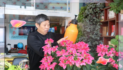 家庭养花用生根粉