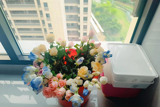 家庭养花用生根粉