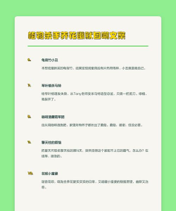 家庭养花用生根粉