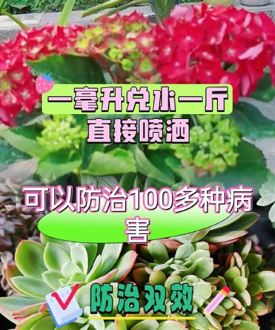 家庭养花用生根粉